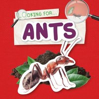bokomslag Ants