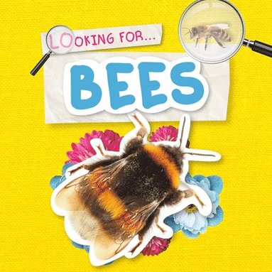 bokomslag Bees
