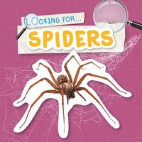 bokomslag Spiders
