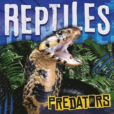 bokomslag Reptiles