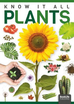 Louise Nelson - Plants, Inbunden