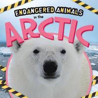 bokomslag In the Arctic