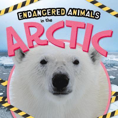 In the Arctic 1