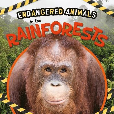 In the Rainforests 1