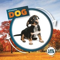 bokomslag Life Cycle of a Dog