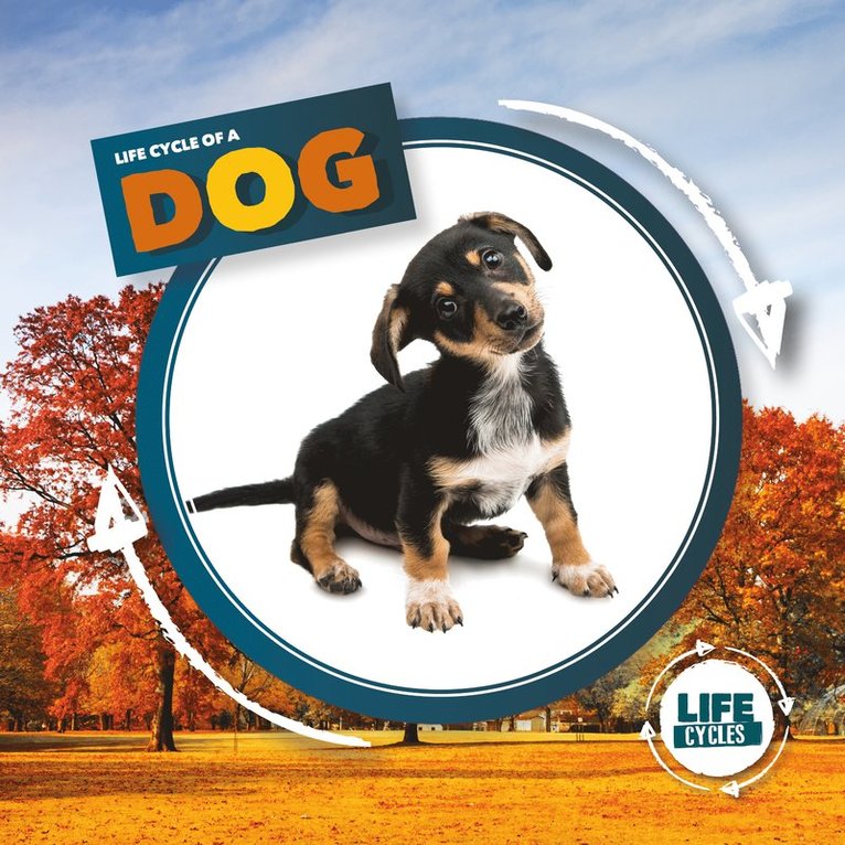 Kirsty Holmes - Life Cycle of a Dog, Inbunden