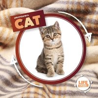 bokomslag Life Cycle Of A Cat