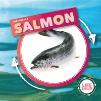 bokomslag Life Cycle Of A Salmon