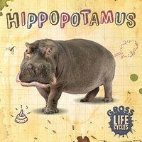 bokomslag Hippopotamus