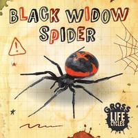 bokomslag Black Widow Spider