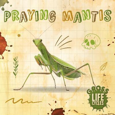 Praying Mantis 1