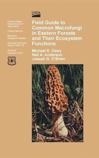 bokomslag Field Guide to Common Macrofungi in Eastern Forests and Their Ecosystem Function