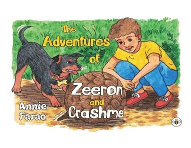bokomslag Adventures of Zeeron and Crash