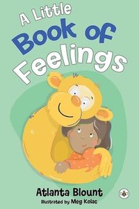 bokomslag Little Book of Feelings