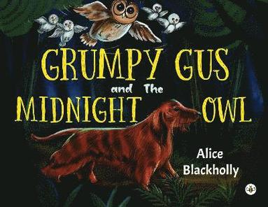 bokomslag Grumpy Gus and The Midnight Owl