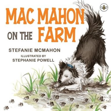 bokomslag Mac Mahon on the Farm