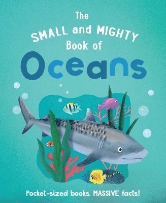 Tracey Turner - Small and Mighty Book of Oceans, Inbunden