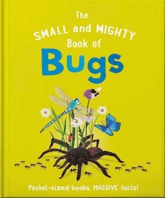 Catherine Brereton - Small and Mighty Book of Bugs, Inbunden
