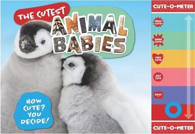 bokomslag The Cutest Animal Babies