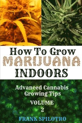 bokomslag How to Grow Marijuana Indoors