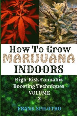 How to Grow Marijuana Indoors 1