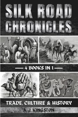 bokomslag Silk Road Chronicles
