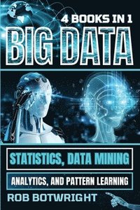 bokomslag Big Data