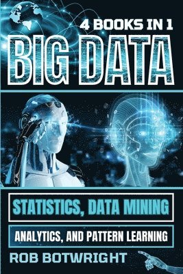 bokomslag Big Data