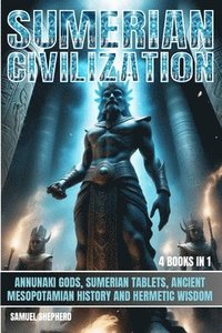 bokomslag Sumerian Civilization