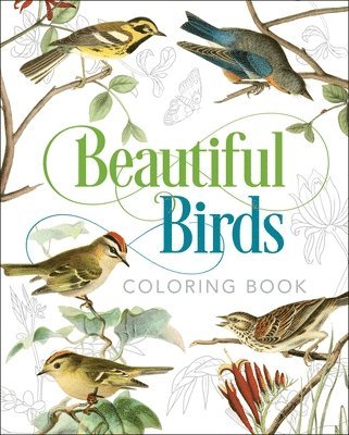 bokomslag Beautiful Birds Coloring Book