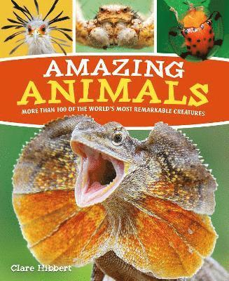 Amazing Animals 1