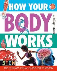 bokomslag How Your Body Works