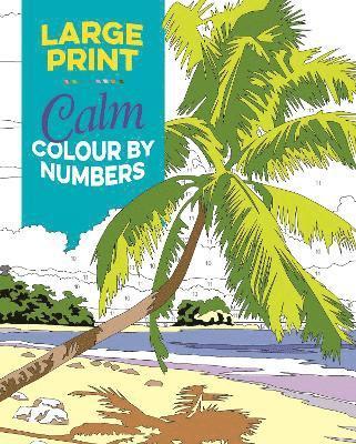 Large Print Calm Colour by Numbers 1