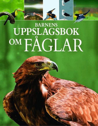Claudia Martin - Barnens uppslagsbok om fåglar, Inbunden