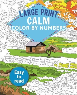 bokomslag Large Print Calm Color by Numbers