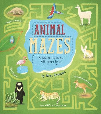 bokomslag Animal Mazes