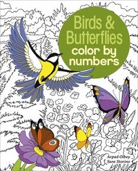 bokomslag Birds & Butterflies Color by Numbers