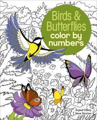 Birds & Butterflies Color by Numbers 1