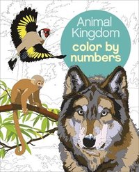 bokomslag Animal Kingdom Color by Numbers