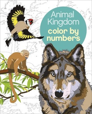 Animal Kingdom Color by Numbers 1
