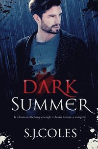 bokomslag Dark Summer