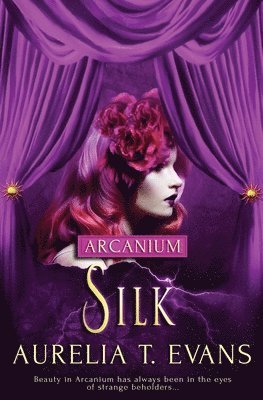 bokomslag Silk