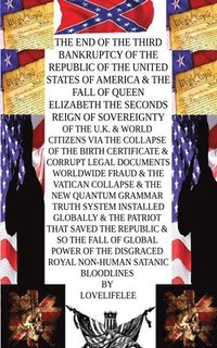 bokomslag The Collapse of the old Paradigm System The American Citizen that saved Humanity