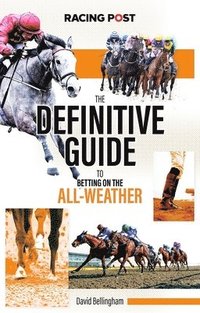 bokomslag The Definitive Guide to Betting on the All-Weather