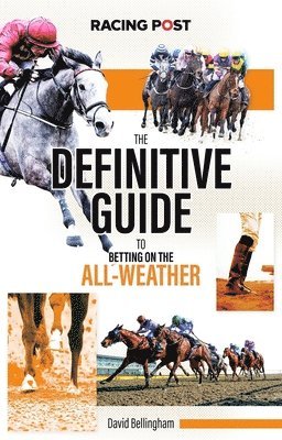 Definitive Guide to Betting on the All-Weather