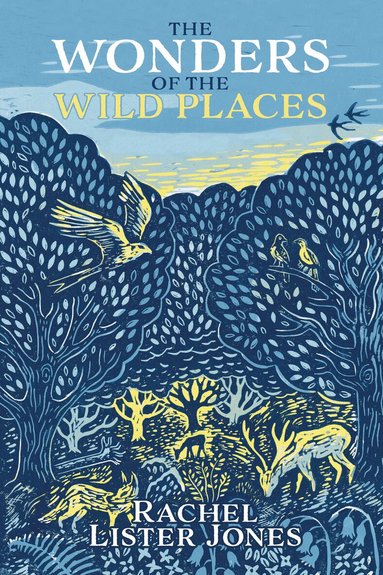Rachel Lister Jones - Wonders of the Wild Places, Häftad