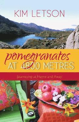 Pomegranates at 4800 Metres 1