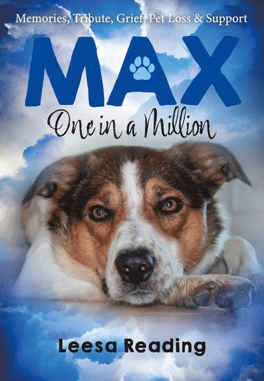 bokomslag Max: One in a Million