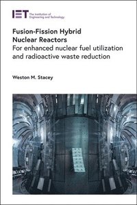 bokomslag Fusion-Fission Hybrid Nuclear Reactors
