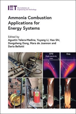 Ammonia Combustion Applications for Energy Systems 1